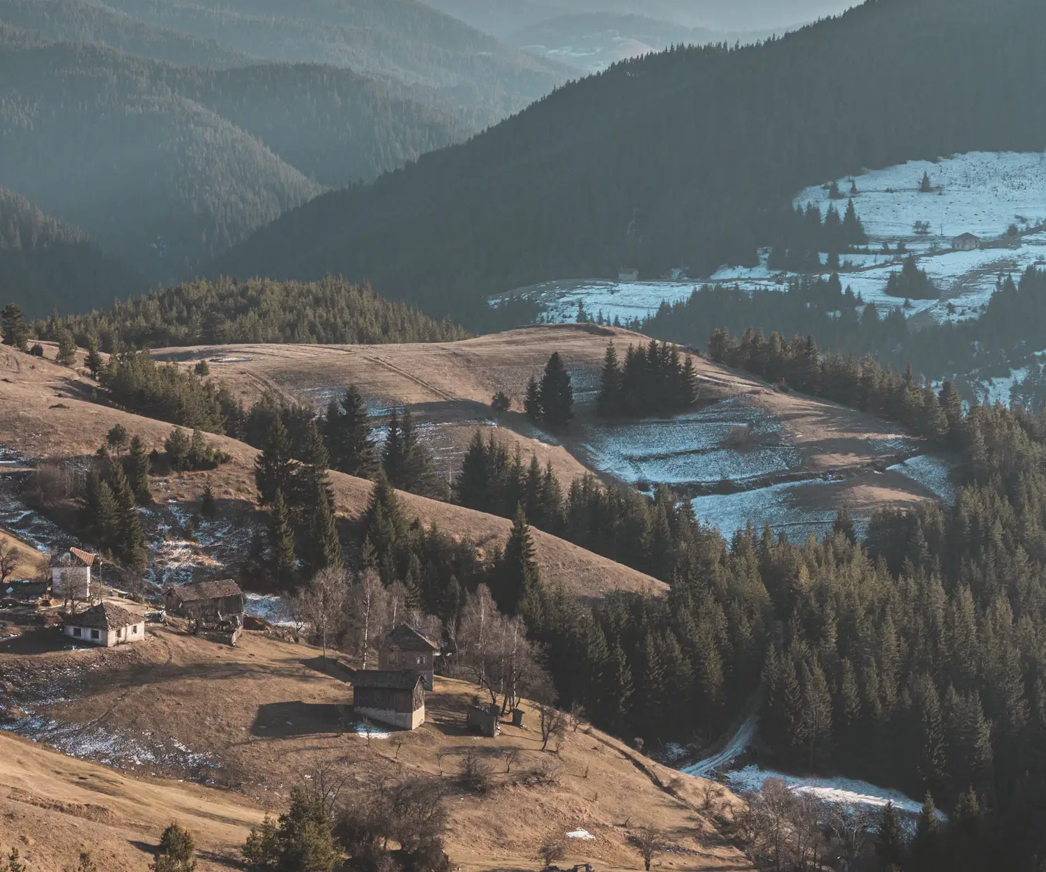 Traditional rural houses among trees in the Rhodope Mountains