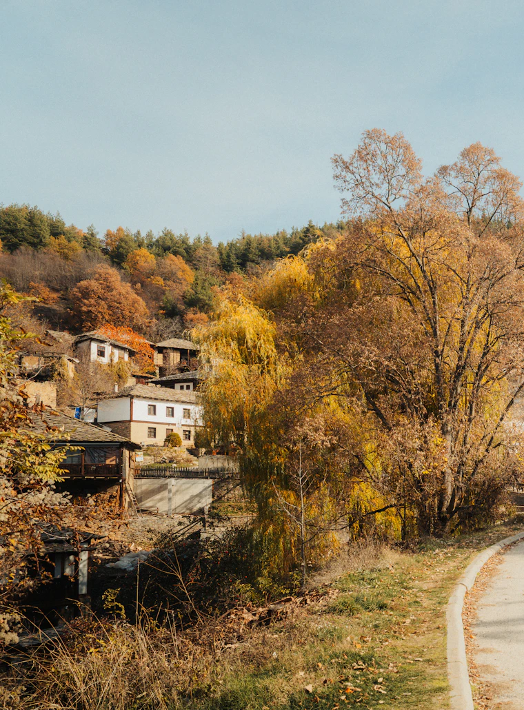 Traditional houses on a road in Leshten, Bulgaria